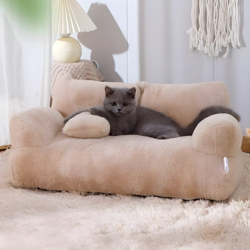 fauteuil pour chat avec un chat confortablement installé