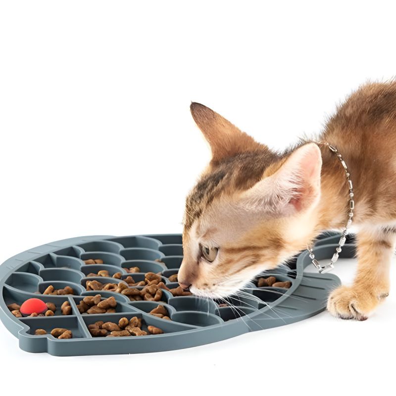 Gamelle anti-glouton pour chaton avec chaton qui mange