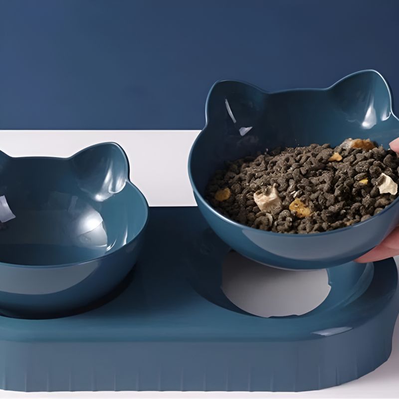 Gamelle pour chat design idéal pour nourrir son chat