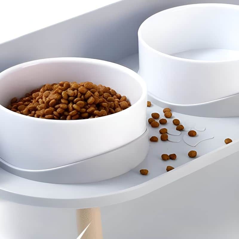Gamelle double pour chat pratique et durable