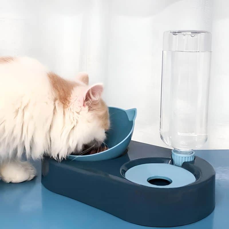 Gamelle à eau pour chat avec un chat qui mange