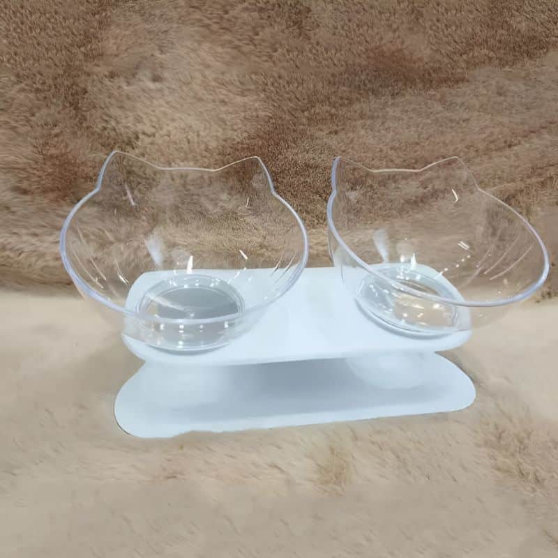 Gamelle pour chat surélevée avec un bon design