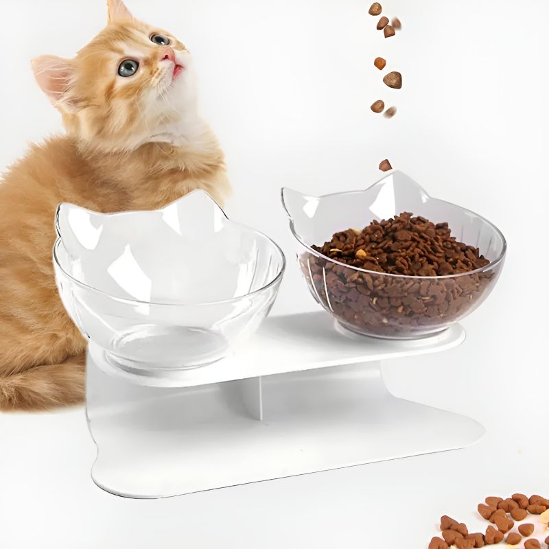 Gamelle pour chat surélevée avec un chat à côté