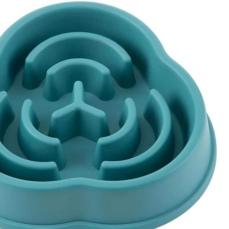 Gamelles anti-glouton pour chat efficace et durable