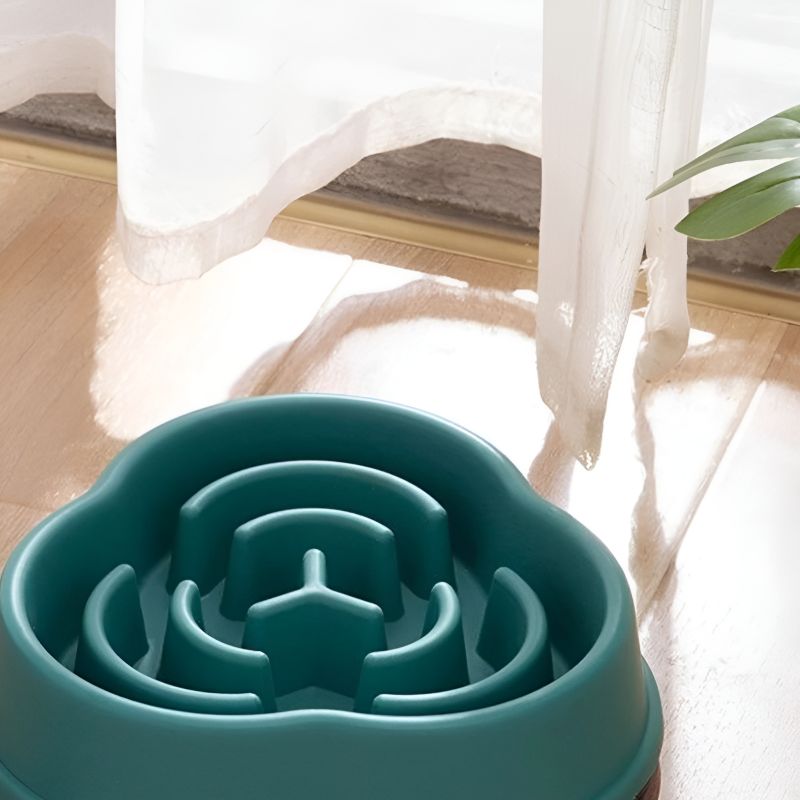 Gamelles anti-glouton pour chat très pratique