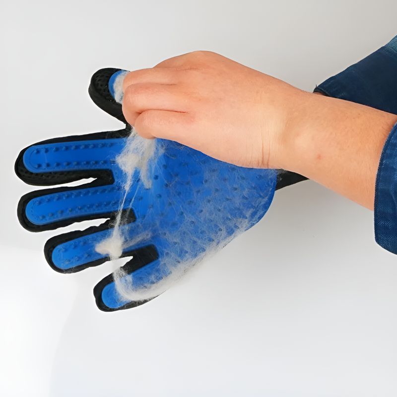 gant brosse chat design et durable