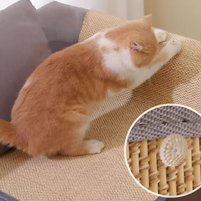 grand griffoir posé sur un canapé avec un chat en train de gratter