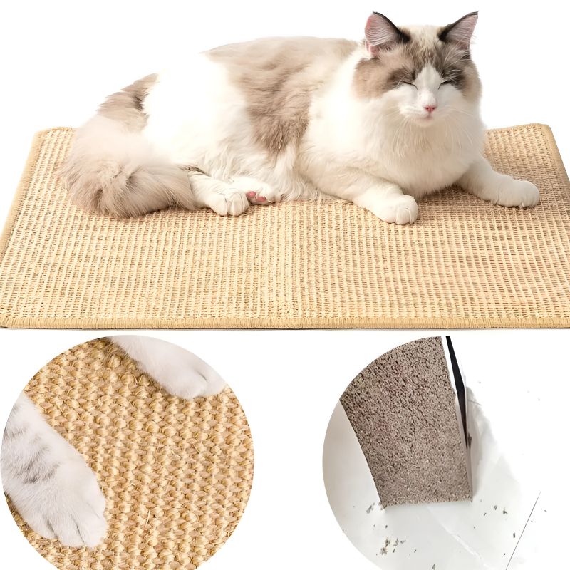 griffoir pour chat pas cher avec un chat installé dessus