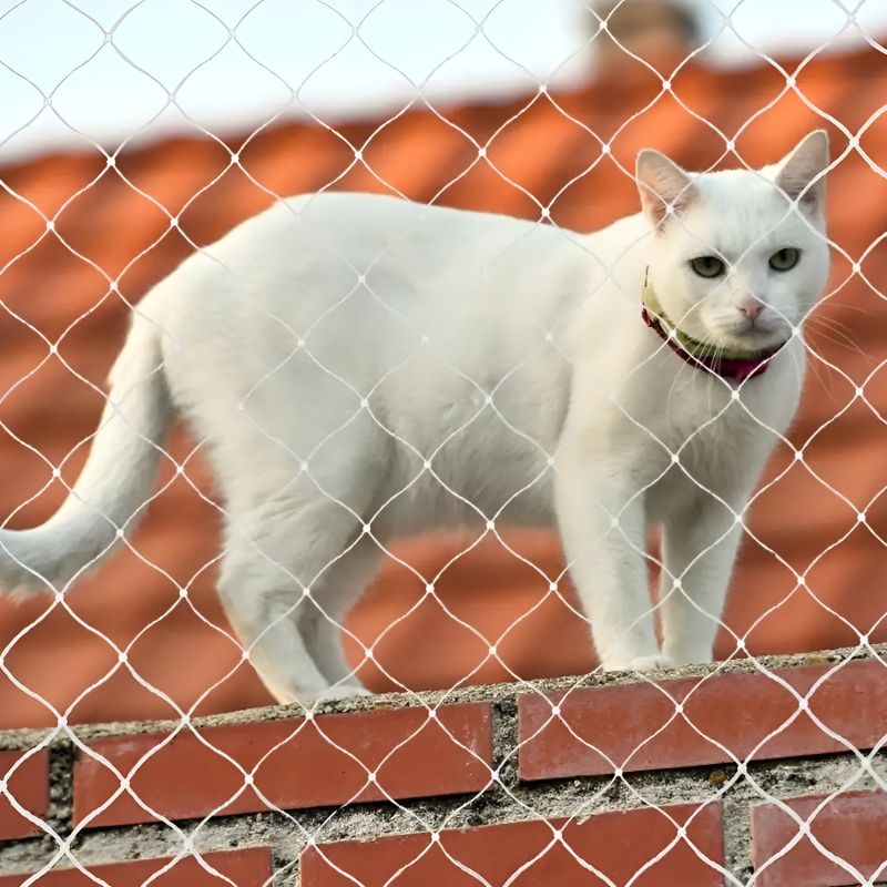 grillage fenetre chat design et solide