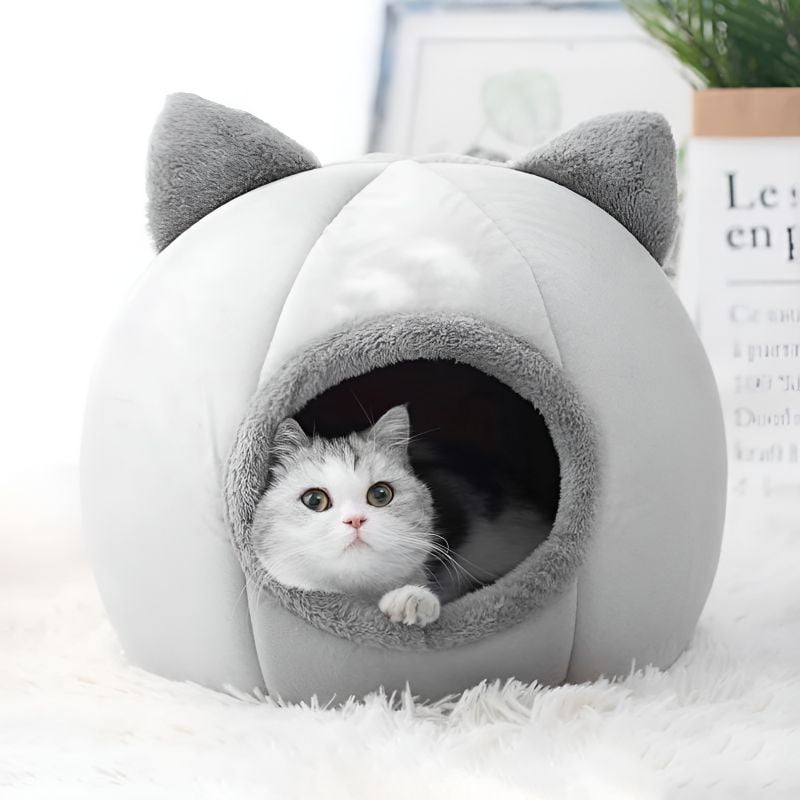 grotte pour chat avec un chat couché à l'intérieur