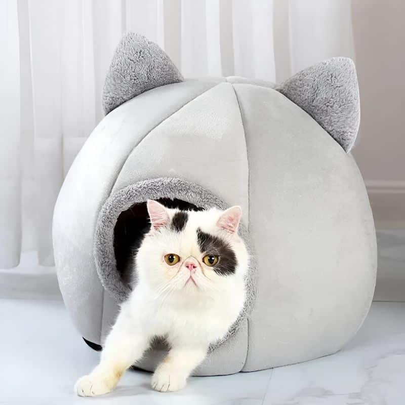 grotte pour chat avec un chat confortablement installé