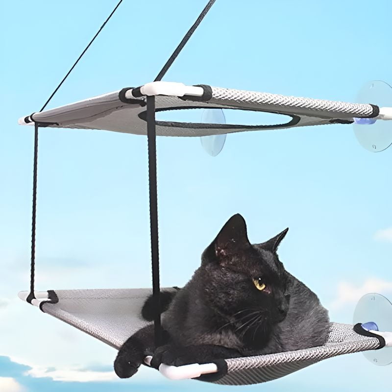hamac pour chat balcon idéal pour loger son chat en hauteur