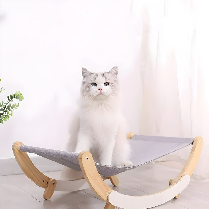 hamac chat bois avec chat debout dessus