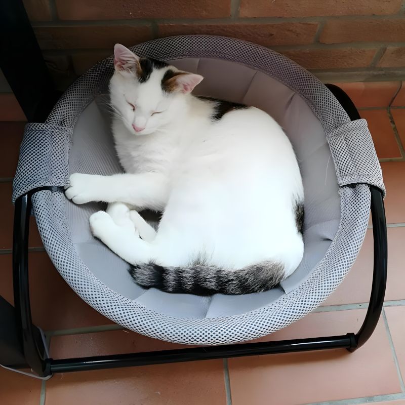 hamac chat design d'excellente qualité