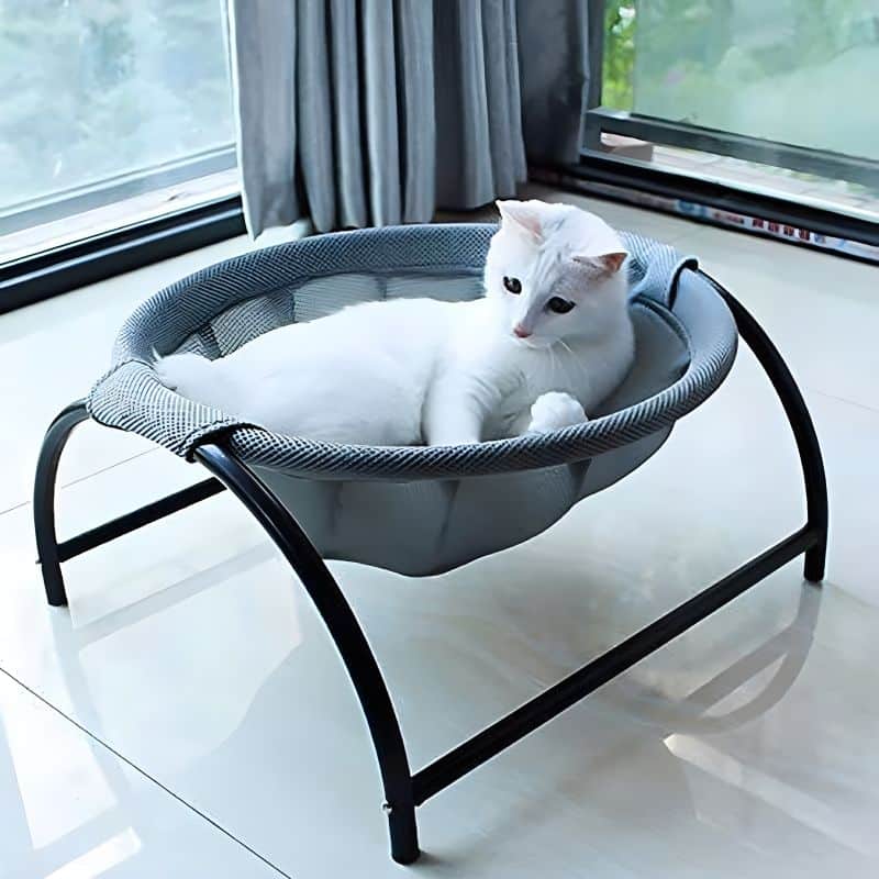 hamac chat design résistant et durable avec chat à l'intérieur