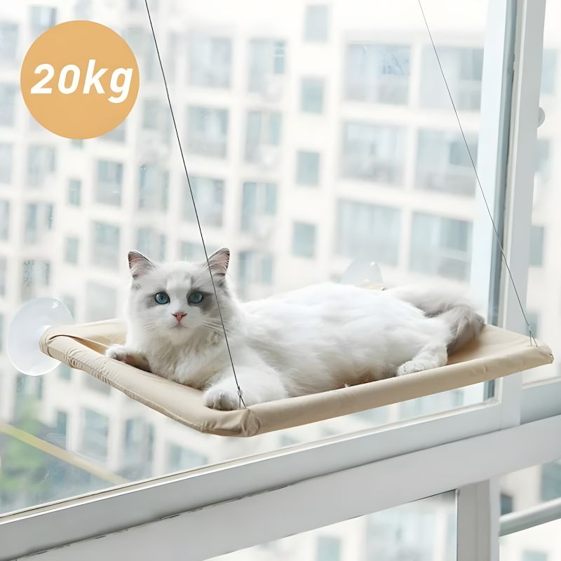 hamac chat fenetre très résistant