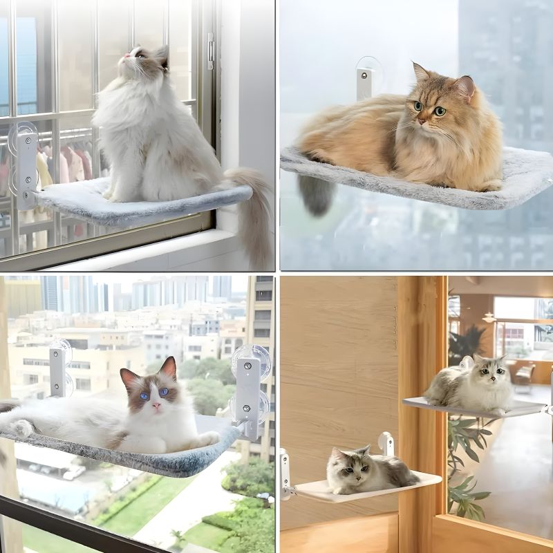 hamac chat velux avec chats confortablement installés dessus