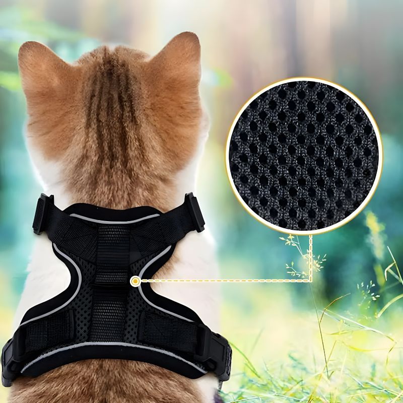 harnais chat adulte avec une bonne aération pour le confort de votre chat