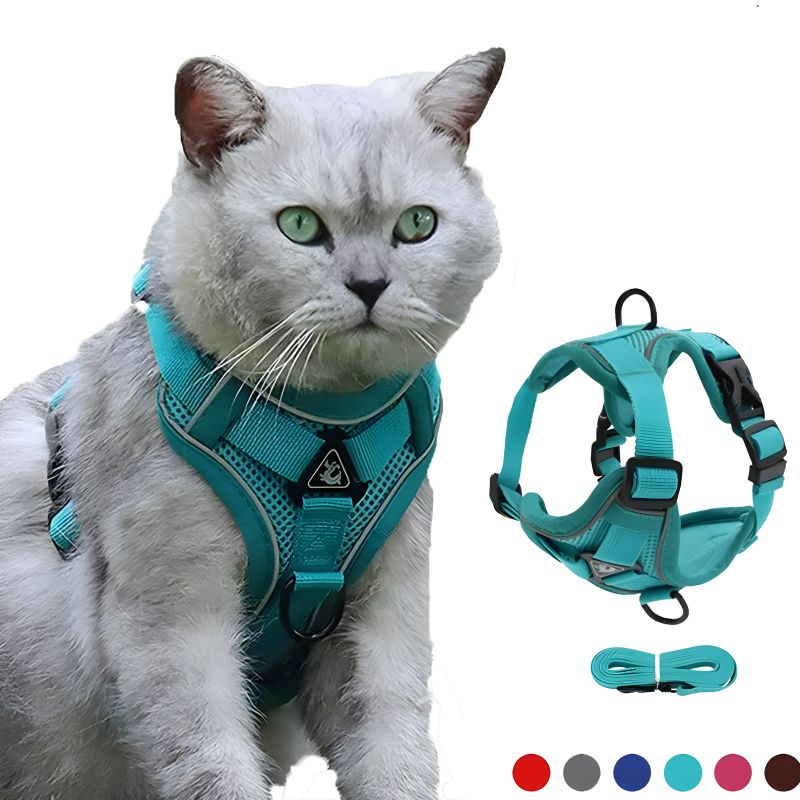 harnais chat anti fugue avec un joli design