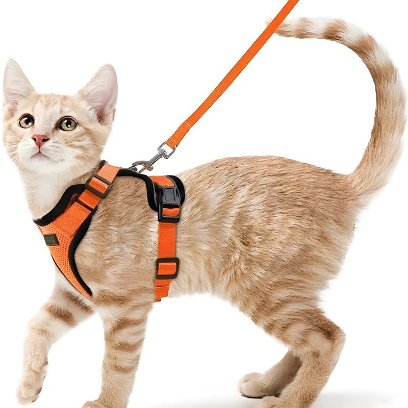 harnais de marche pour chat d'excellente qualité