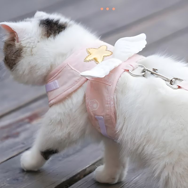 harnais petit chat pratique pour des promenades sécurisées avec son chat