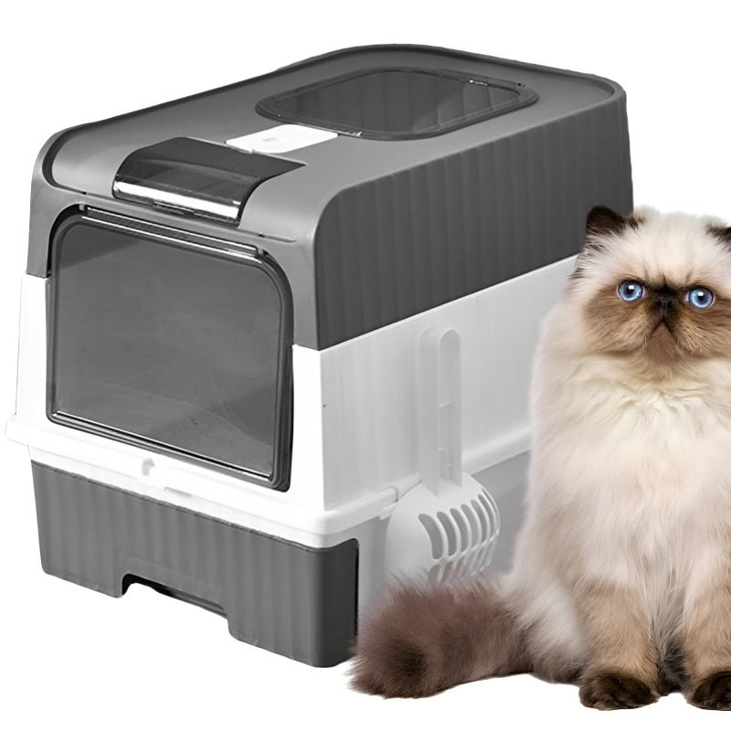 jolie litiere chat avec un chat à côté