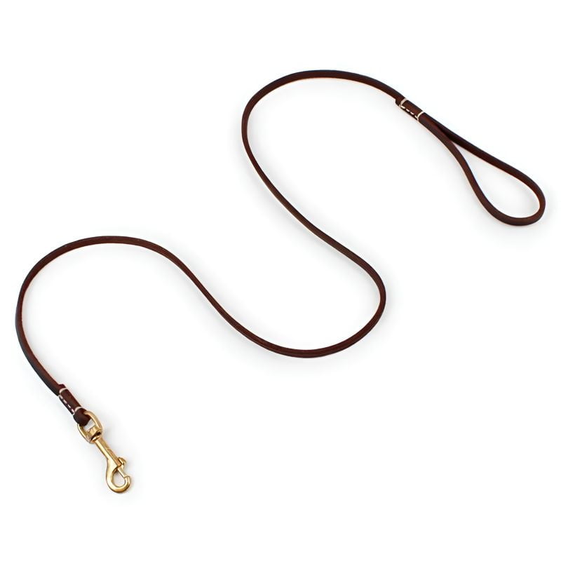 laisse pour chat adulte en cuir durable