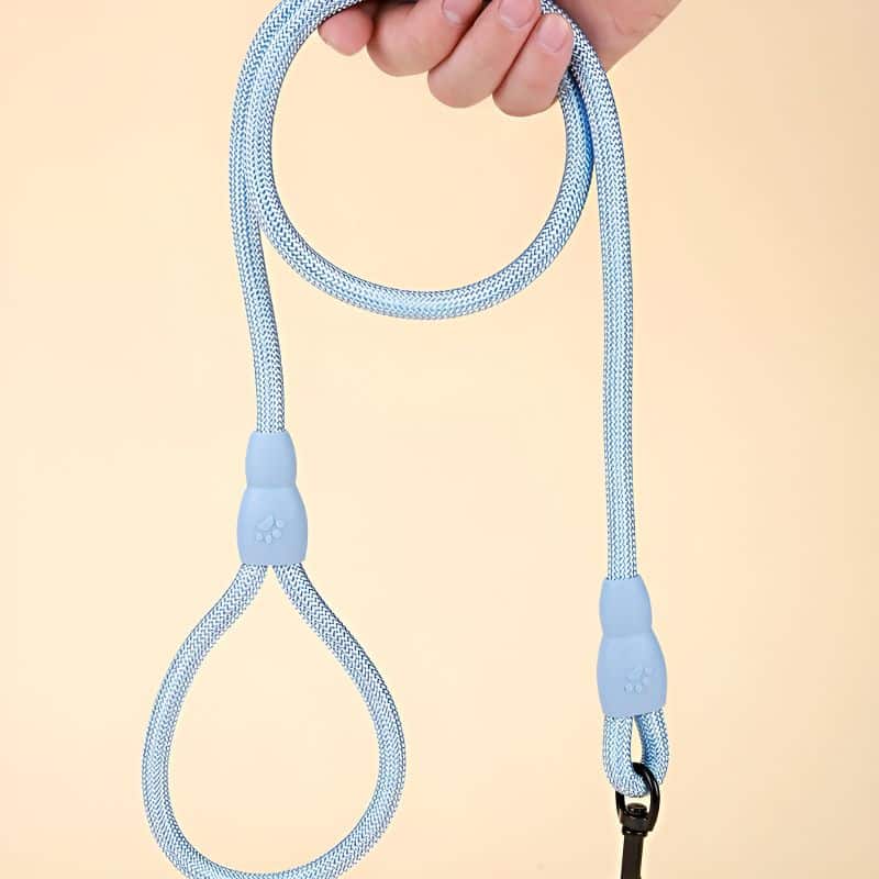 laisse pour chaton joli et durable