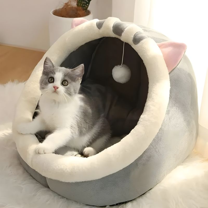 lit chaton durable