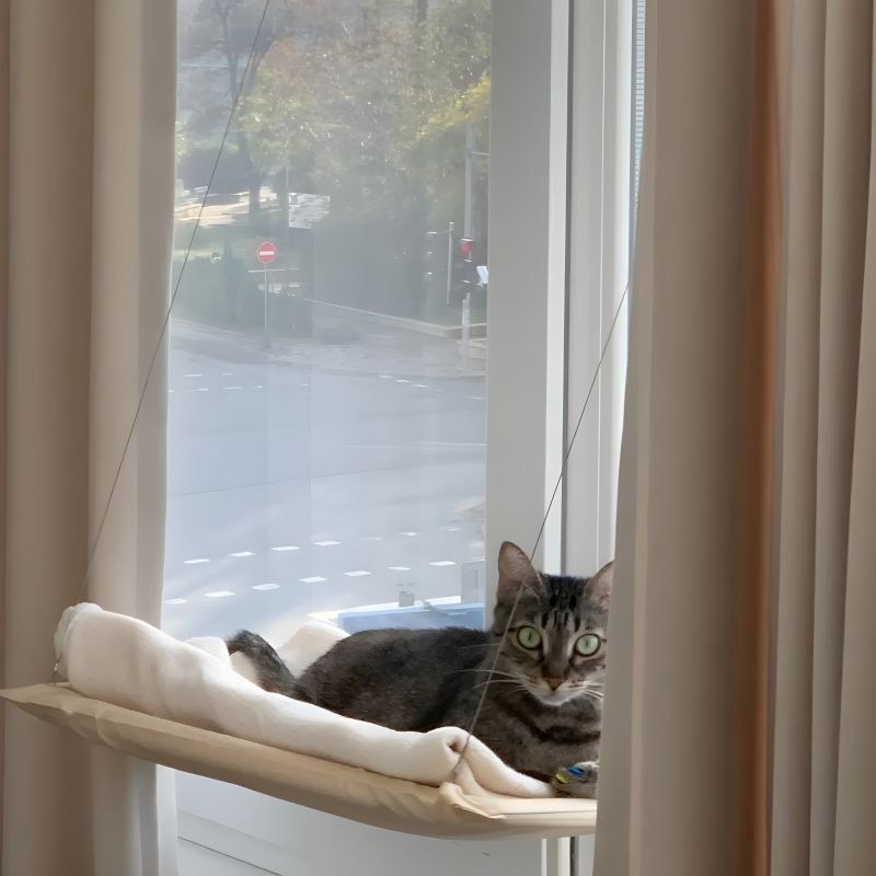lit pour chat en hauteur confortable