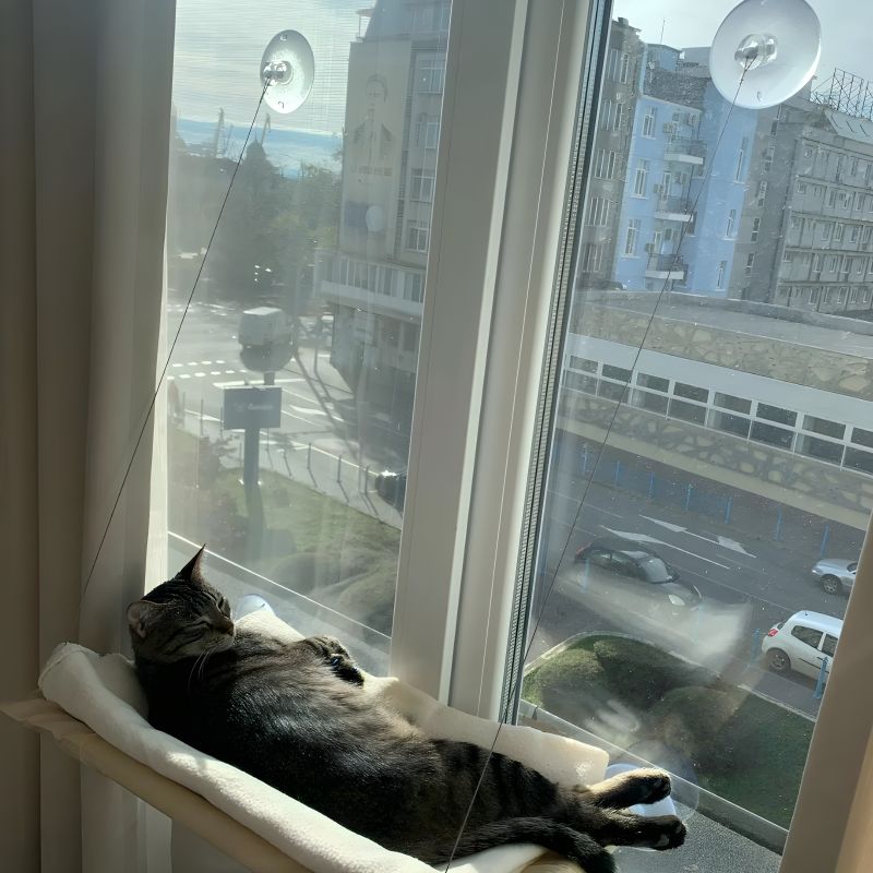 lit pour chat en hauteur esthetique
