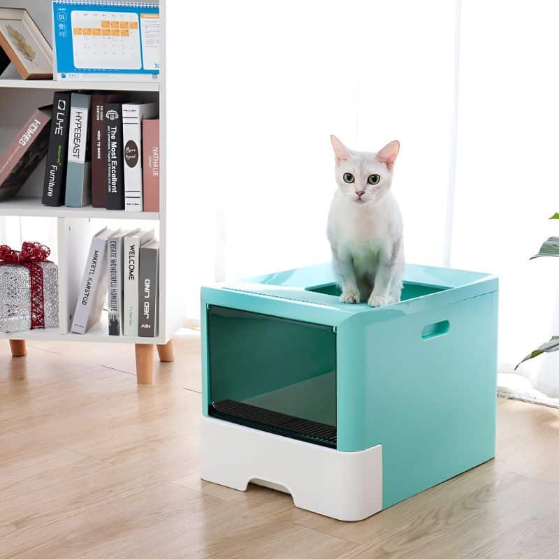 litiere chat avec tiroir avec chat confortablement installé au-dessus