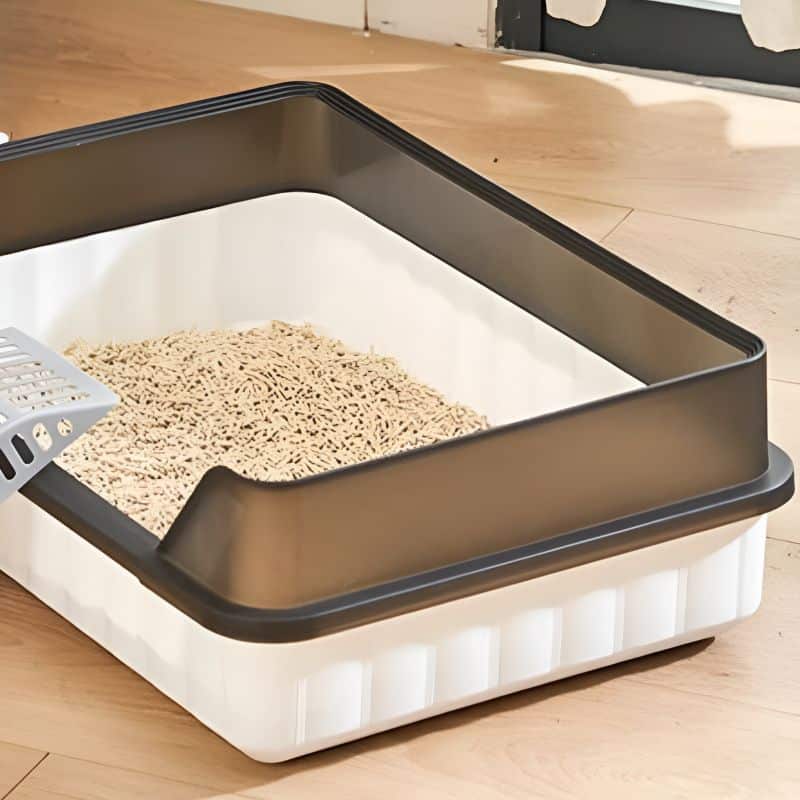 litiere chat design idéal pour loger son chat