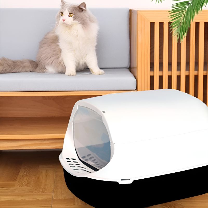litiere exterieur pour chat avec un joli design pour le plaisir du chat