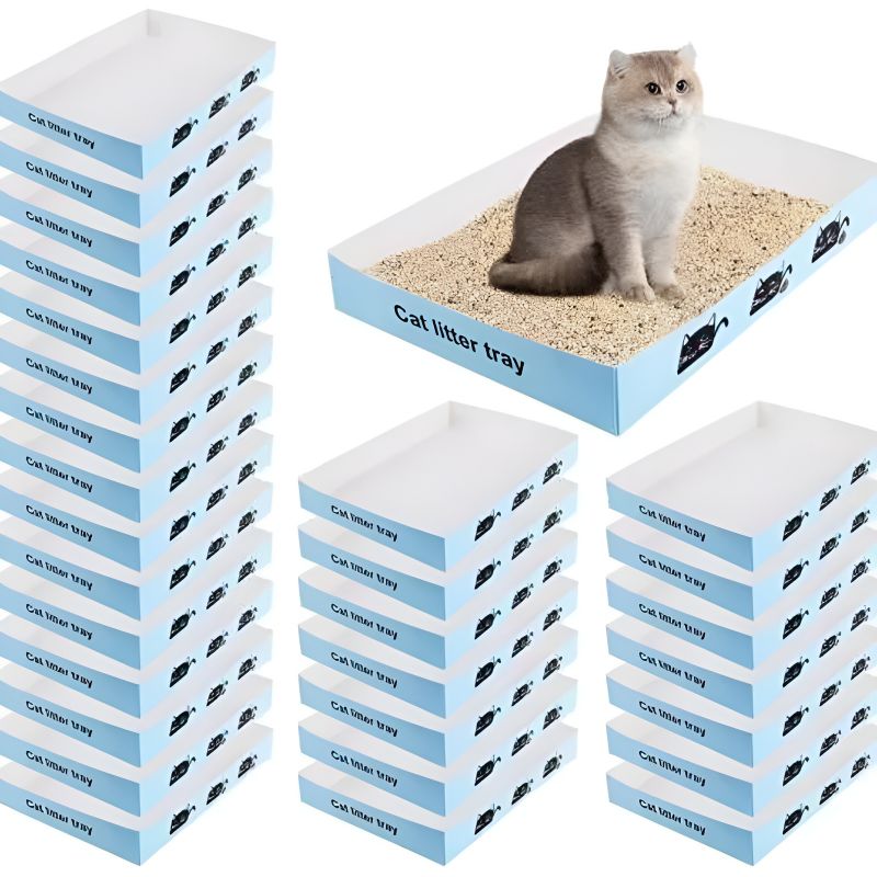 litiere jetable chat avec un chat installé confortablement à l'intérieur