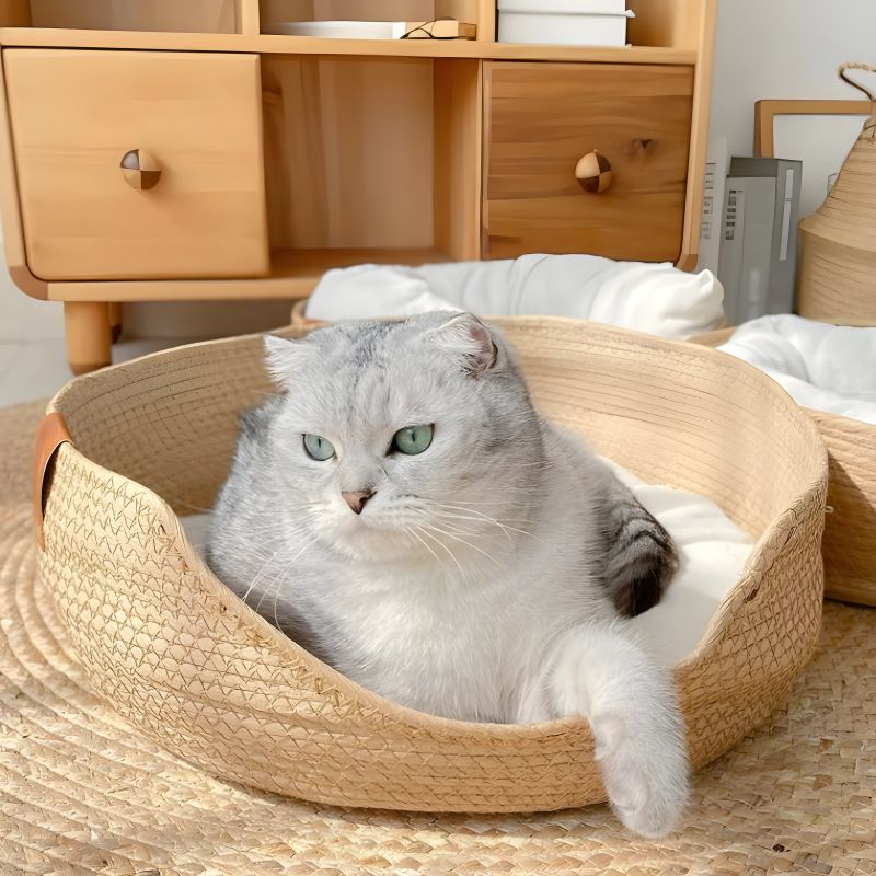 panier bambou pour chat mis à la disposition du chat