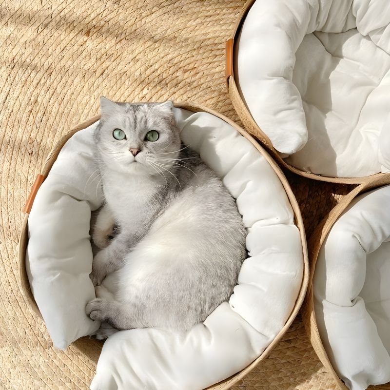 panier bambou pour chat avec un chat confortablement installé
