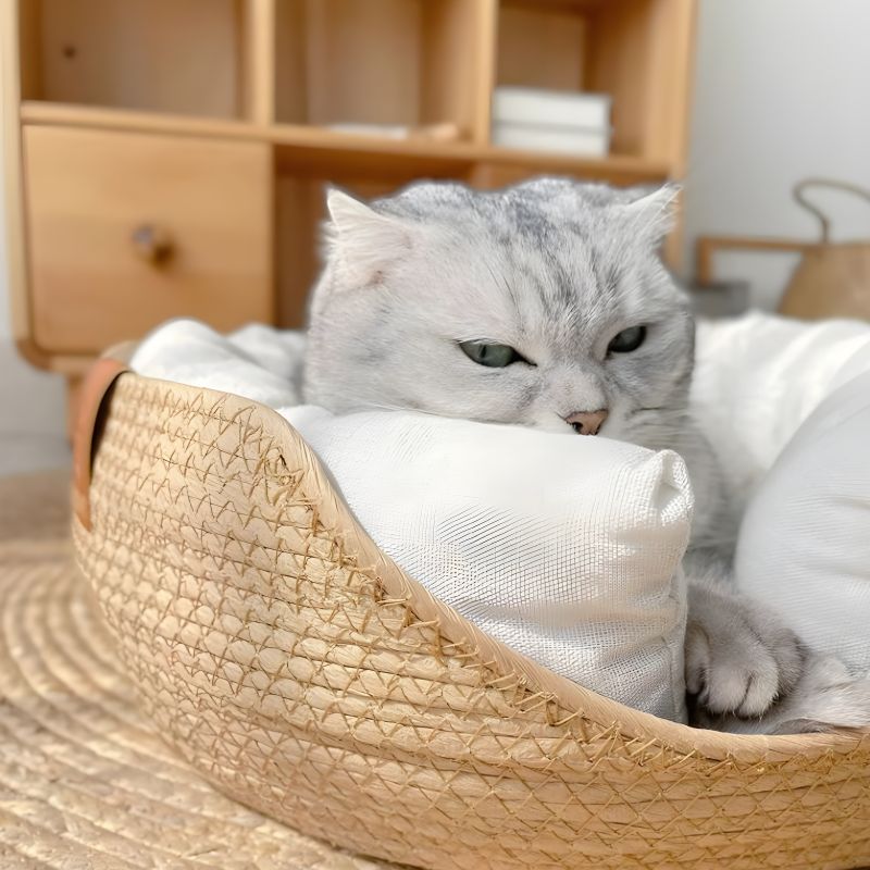 panier bambou pour chat avec un chat couché dedans