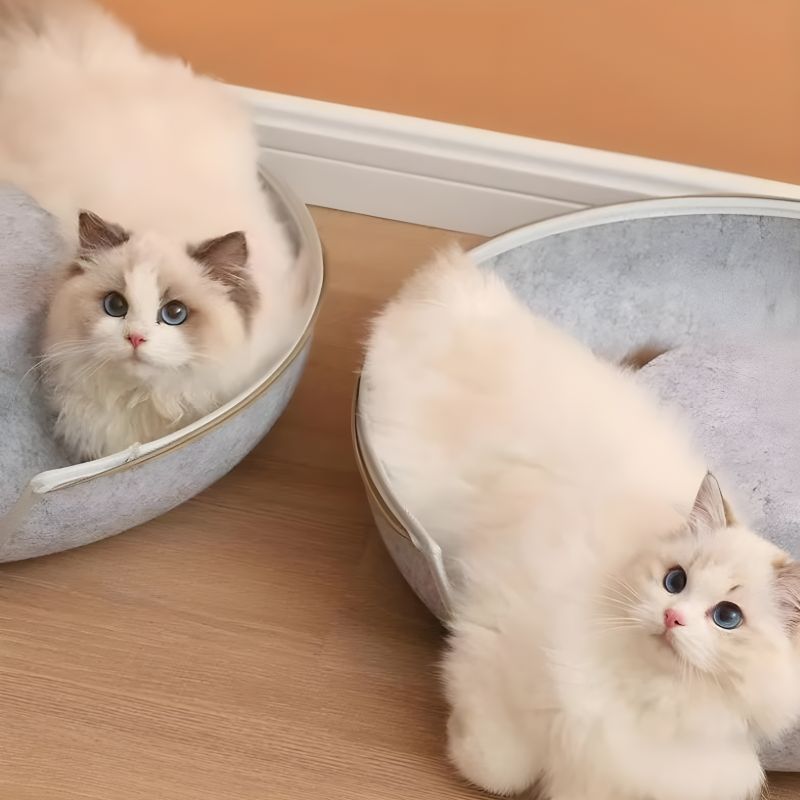 panier chat ferme confortable
