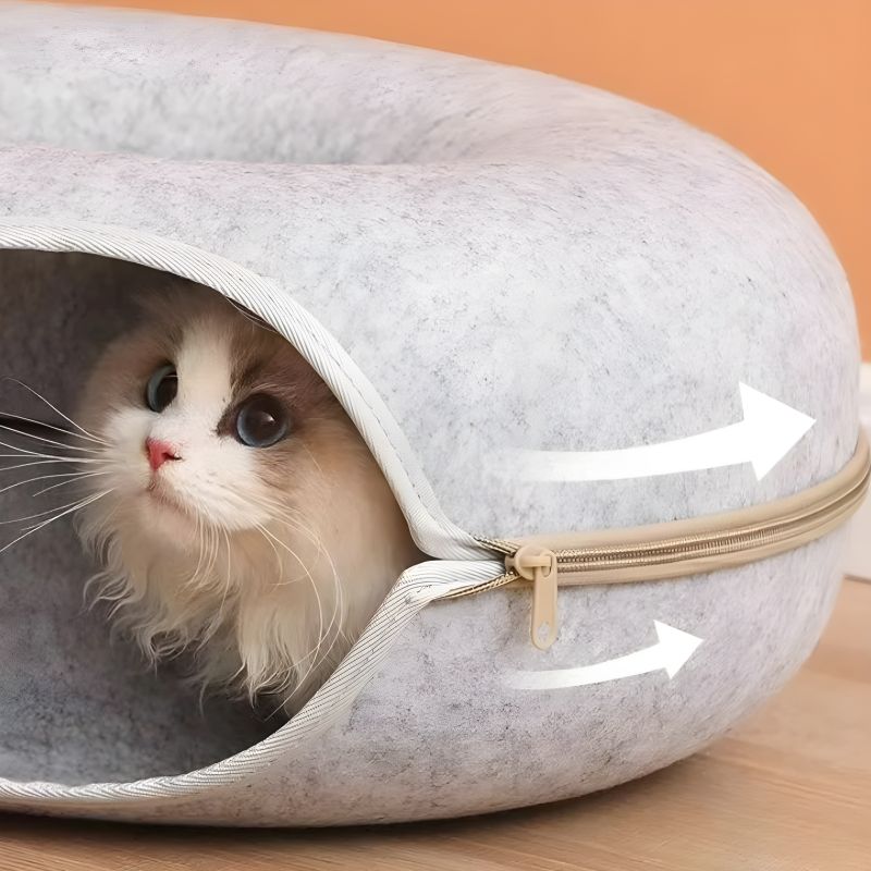panier chat ferme durable