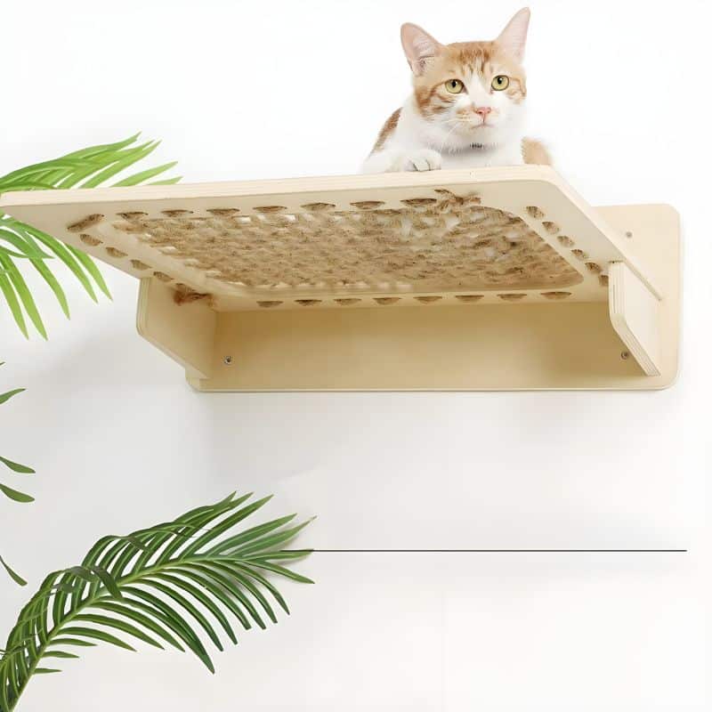 panier chat mural avec un chat confortablement installé dessus