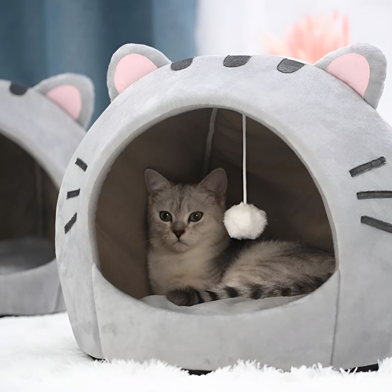panier chaud pour chat pas cher