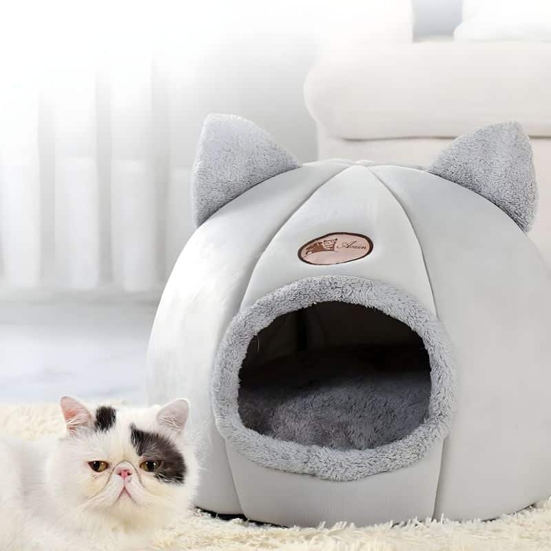 panier grotte pour chat avec un chat à côté