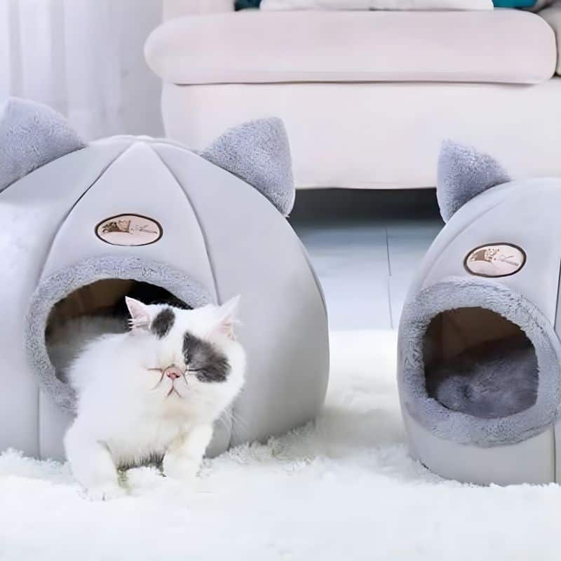 panier grotte pour chat avec un chat qui dort