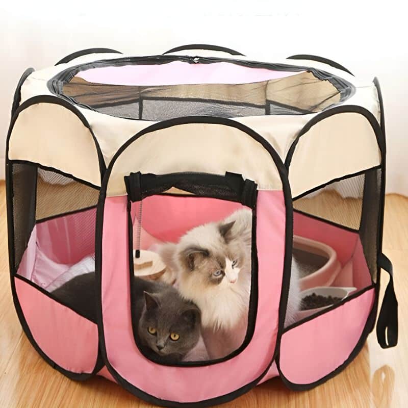 parc pour chat avec des chats confortablement installés à l'intérieur