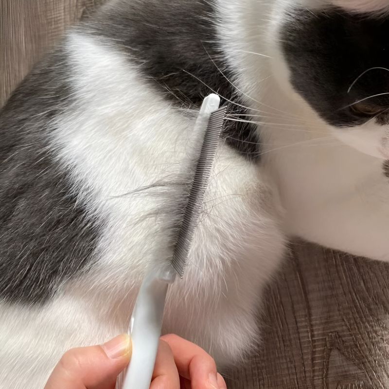 peigne chat utilisé pour brosser les poils d'un chat