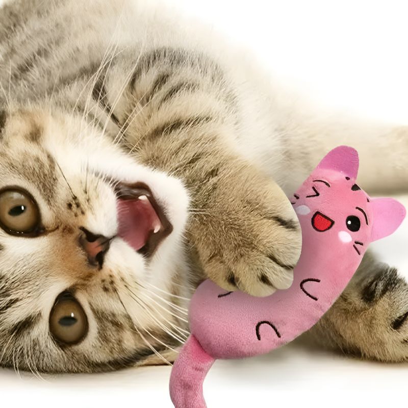 peluche chat avec un chat qui s'amuse