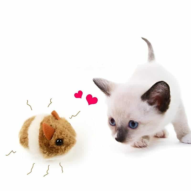 peluche pour chaton avec chaton qui s'amuse
