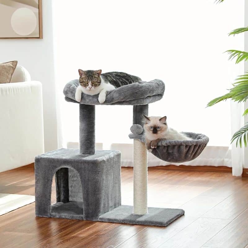 Petit arbre à chat avec des chats couché sur le hamac et le coussin