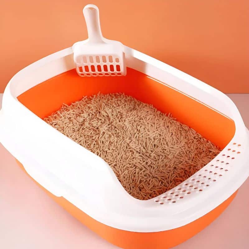 petite litiere chat pratique et durable